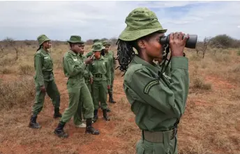  ?? ?? Female rangers part of Team Lioness gather data of wildlife sightings near Oloitokito­k as they patrol on foot the Olgulului community lands, adjascent to the Amboseli National Park.