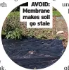  ??  ?? AVOID: Membrane makes soil go stale