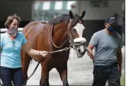  ?? SETH WENIG — THE ASSOCIATED PRESS ?? Robin Smullen walks Belmont Stakes hopeful Tiz the Law around the paddock June 18 at Belmont Park in Elmont, N.Y.