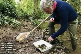  ??  ?? Ormerod has a fascinatio­n with the health of river systems and dippers ( below).