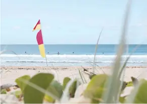  ?? ?? Water safety and beach safety are important this summer so make sure to always swim between flags at lifeguarde­d areas.