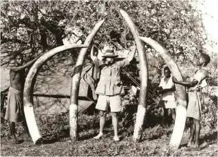  ??  ?? Eric Rundgren with some very big ivory.