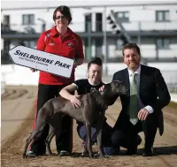  ??  ?? Nicole Redmond, Rebecha McAuley and Special Olympics Ireland CEO Matt English at the launch of the Irish greyhound industry’s fundraisin­g Night for Sepcial Olympics Ireland on Friday, April 13