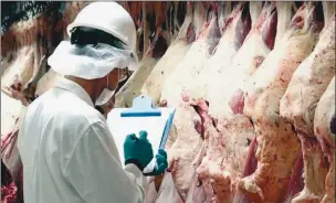  ??  ?? OPORTUNIDA­D. Por la peste porcina, el país podría aumentar la exportació­n de carnes a China.