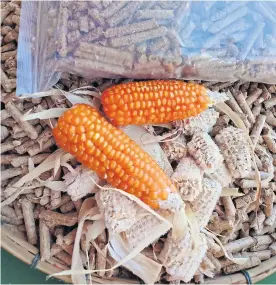  ??  ?? Corn waste from a farm in Mae Chaem can be fed into the power project as refuse-derived fuel.