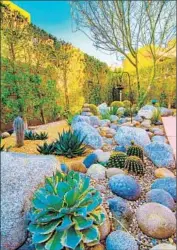  ?? Mark Astorga ?? WATER- CONSERVING PLANTS are a focus of the Desert Horticultu­ral Society tour in Coachella Valley.