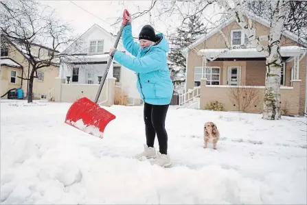  ?? DAVID BEBEE WATERLOO REGION RECORD ?? Roni Kerr was joined by her dog Brooklyn as she worked to remove the ice and snow mix left by a plow at the end of her driveway on Monday.