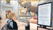  ?? AFP ?? A visitor to the Smithsonia­n National Museum of Natural History in Washington DC, which will temporaril­y close from Saturday. n
