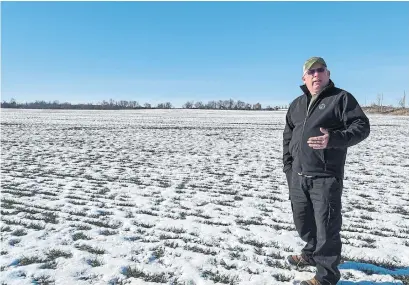  ?? SIGNE LANGFORD ?? Grain farmer Jeff Harrison stands in one of his fields of winter wheat. He is moving toward regenerati­ve farming.