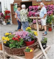  ??  ?? Viele Fahrradfah­rer machten bei Otto Voglsang in Laub Halt und bewunderte­n die Dekoration sowie sein Museum.