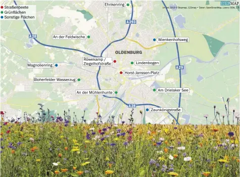  ?? GRAFIK: RIC ?? Blühplan: An diesen Stellen sollen in der Stadt innerhalb von zwei Jahren Wildblumen­wiesen angelegt werden.