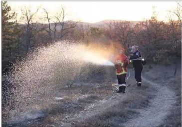  ?? (Photos Hélène Dos Santo) ?? Les sapeurs-pompiers se sont rapidement rendus maîtres de la situation.