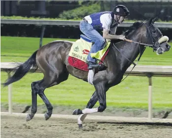  ?? GARRY JONES/ THE ASSOCIATED PRESS ?? Exercise rider Andy Durnin rides Kentucky Derby entrant Trojan Nation on Friday. Trojan Nation will be running out of the No. 1 post, with 50-1 odds, in Saturday’s race at Churchill Downs.