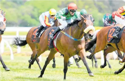  ?? Picture / Race Images ?? Let Her Rip will close out her New Zealand career at Awapuni on Saturday.