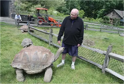  ?? (Ben Sales) ?? MICHAEL STEINHARDT, who takes regular 90-minute strolls around his 55-acre private zoo, enjoys interactin­g with his tortoises.