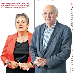  ??  ?? Brexit perspectiv­e: Vince Cable, the Liberal Democrat leader, below right, and Labour’s Gisela Stuart, below