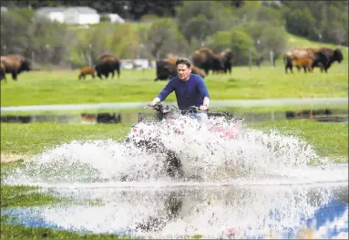  ?? Kurt Wilson / Associated Press ?? Layne Spence, caretaker of the Medicine Bull Bison Ranch west of Missoula, Mont., navigates his four-wheeler through standing water in a pasture at the ranch, after reuniting a wayward calf with the rest of the herd after it was separated. Floodwater...