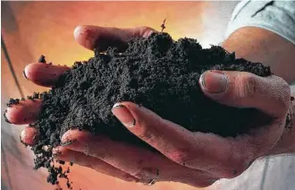  ?? Photo illustrati­on by Bo Rader / Wichita Eagle ?? Many gardeners are starting to ready their soil for planting by adding peat moss to the soil.