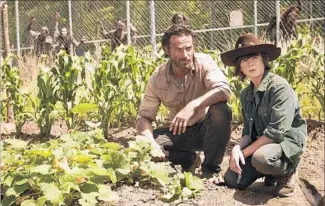  ?? Frank Ockenfels 3 AMC ?? ZOMBIES watch from outside the fence as Rick Grimes (Andrew Lincoln) and his son Carl (Chandler Riggs) tend squash and corn in the prison garden in Season 4 of “The Walking Dead.”