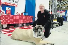  ?? KRIS DUBE SPECIAL TO THE WELALND TRIBUNE ?? Daisy the English mastiff and Pennie Watson from Fetch Me Later, a pet hotel and spa in Fenwick, exhibit at Fonthill and District Kinsmen's Pelham Home and Garden Show.