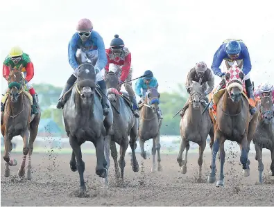  ?? PHOTOGRAPH­ER KENYON HEMANS ?? Perfect Neighbour (second left), ridden by Omar Walker, on his way to victory in race nine, the feature race at Caymanas Park yesterday.