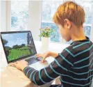  ?? FOTO: DPA ?? Mingus spielt auf einem Laptop das Open-World-Computersp­iel Minecraft.