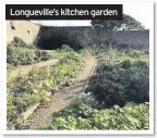  ??  ?? Longuevill­e’s kitchen garden