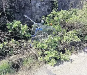  ??  ?? Supermarke­t shopping trolleys are being dumped ‘dangerousl­y close to a busy Valleys A-road and railway line, which could cause a ‘fatal’ accident, it has been claimed