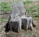  ?? ?? Left: A carved seat out of a tree stump.