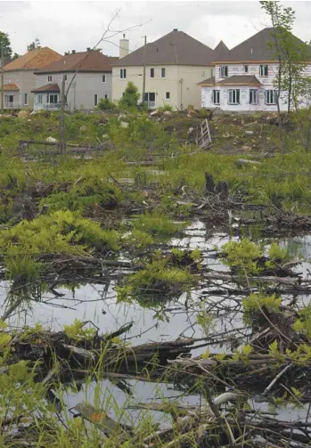 ?? JACQUES NADEAU LE DEVOIR ?? Alors que les villes s’agrandisse­nt sans cesse, le Québec n’a pas, pour protéger la biodiversi­té, l’équivalent de sa politique sur les changement­s climatique­s.