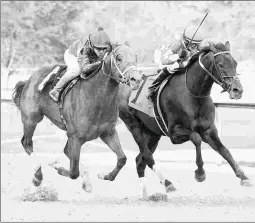  ?? COADY PHOTOGRAPH­Y ?? Shared Sense (left) wins an allowance race earlier this year at Oaklawn Park.