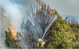  ?? EDDIE MOORE/THE ALBUQUERQU­E JOURNAL ?? A firefighte­r sprays water on burning trees Thursday near Las Vegas, N.M. Windy conditions are expected in the region over the next few days.