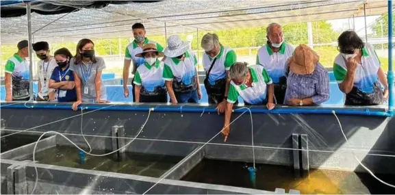  ?? ?? SEAFDEC AQD breeding cages sa pantat, kasili ug ulang