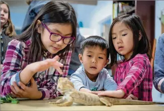  ?? STEVE SCHAEFER PHOTOS / SPECIAL TO THE AJC ?? Bella Vuona, Carter Le and Elanie Le check out a bearded dragon reptile Saturday at the Amphibian Foundation during the Atlanta Science Festival.