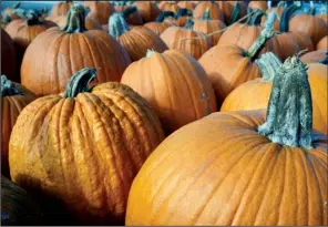  ?? Chattanoog­a Times Free Press file photo ?? Pumpkins are good for more than jack-o’-lanterns.