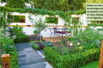  ??  ?? Même sur une terrasse on peut appliquer les principes de la permacultu­re : occupation maximale de l’espace, sols et murs, mélange de fruitiers, de fleurs et de légumes, accueil de la biodiversi­té.