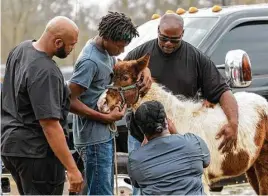  ?? Leslie Plaza Johnson ?? Dr. Aubrey Ross, far left, supervises physician’s assistant Ebony Price as she administer­s a vaccine to Lil’ Bit, a foal owned by James Cornish, during a free clinic at Bruno’s Triangle 7 Arena.