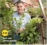  ??  ?? P.35 Sort out citrus plants