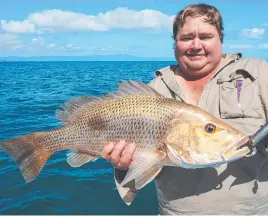  ??  ?? Golden snapper like this one caught by Miles Finger can be easy winter catches when using live baits.