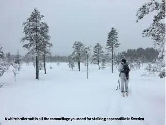  ?? ?? A white boiler suit is all the camouflage you need for stalking capercaill­ie in Sweden