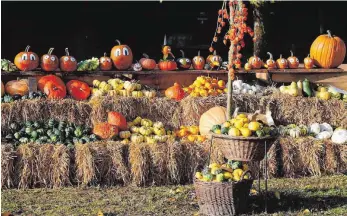  ?? FOTO: LANDRATSAM­T BIBERACH ?? Das Museumsdor­f Kürnbach zeigt den Herbst von seiner schönsten Seite und lädt zum Genießen ein.