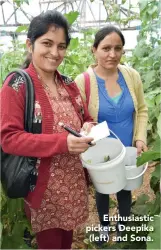  ??  ?? Enthusiast­ic pickers Deepika (left) and Sona.