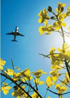  ?? Foto: Julian Stratensch­ulte, dpa ?? Ein Flugzeug fliegt über ein Rapsfeld: Die Grünen fordern einen Preis für den Ausstoß von Kohlendiox­id auf EU-Ebene.