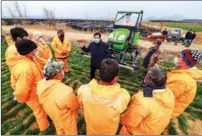  ?? ?? From left: A drone is used to spread pesticide on fields in Hushan, Rongcheng; An agricultur­al technician introduces field management techniques to workers operating machines in Hushan.