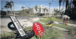  ??  ?? > Louis Castro picks up a coconut downed by Irma in Naples, Florida