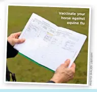  ?? Y R A R B I L R E U A B : O T O H P ?? Vaccinate your horse against equine flu