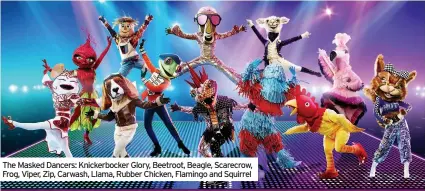  ??  ?? The Masked Dancers: Knickerboc­ker Glory, Beetroot, Beagle, Scarecrow, Frog, Viper, Zip, Carwash, Llama, Rubber Chicken, Flamingo and Squirrel