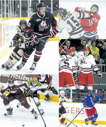  ?? POSTMEDIA PHOTOS ?? The Niagara IceDogs are rebuilding on the blue line this season. Starting from the upper left clockwise: Gone are mainstays Ryan Mantha and Aaron Haydon, while Willy Lochead, Elijah Roberts and Zach Shankar are among the players stepping in. Roberts...