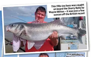  ??  ?? caught This 19lb 4oz bass was by on board the Skerry Belle just a few Wayne Milton – it was ounces off the British record