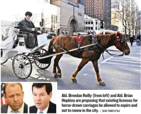  ?? | SUN- TIMES FILE ?? Ald. Brendan Reilly ( from left) and Ald. Brian Hopkins are proposing that existing licenses for horse- drawn carriages be allowed to expire and not to renew in the city.